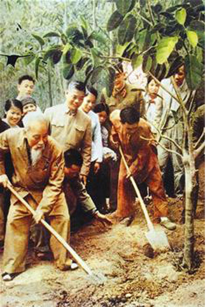 Hình 03: Bác Hồ tham gia Tết trồng cây tại Hà Tây (1969). Ảnh Internet