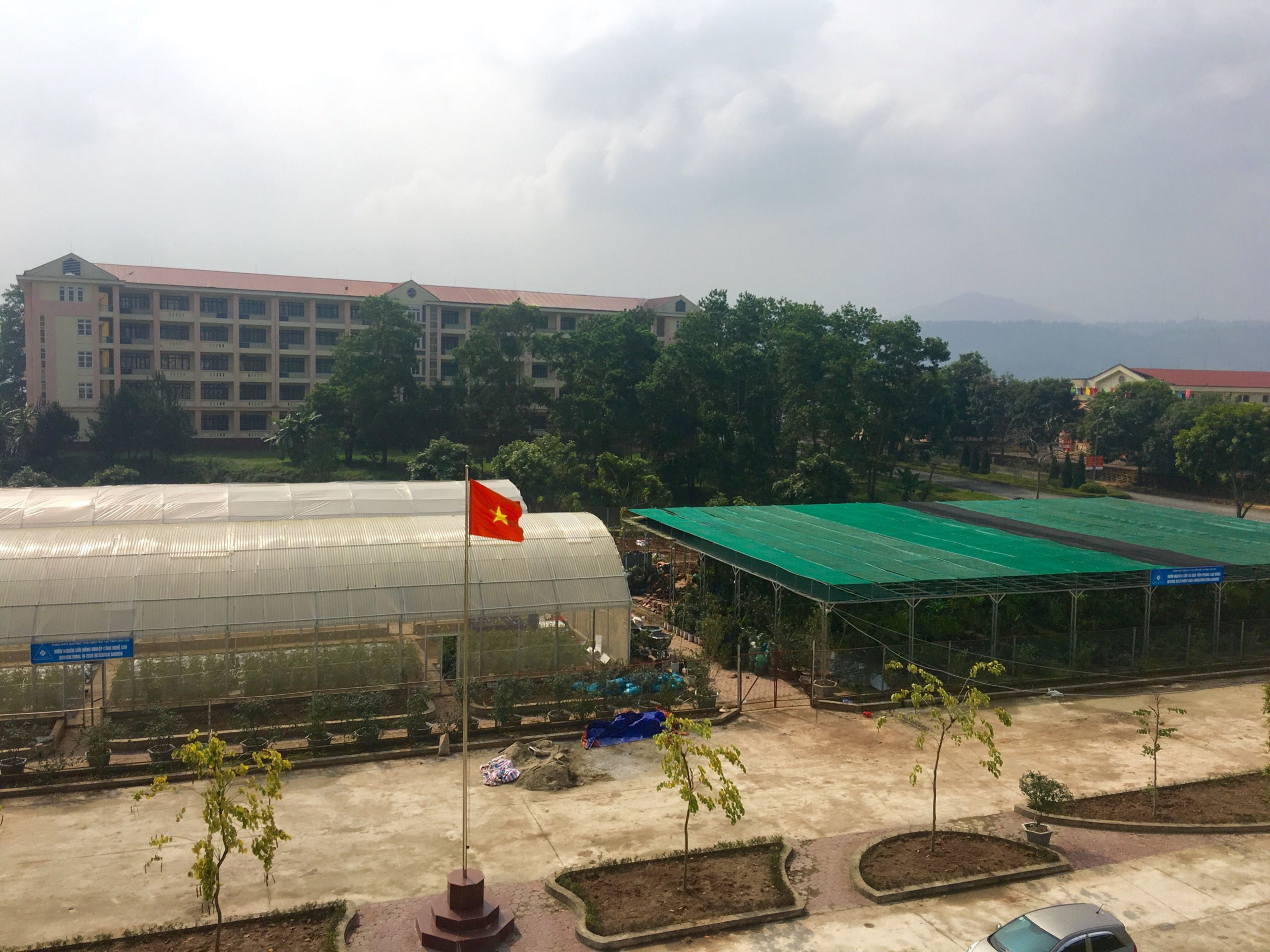 mô hình rau hoa