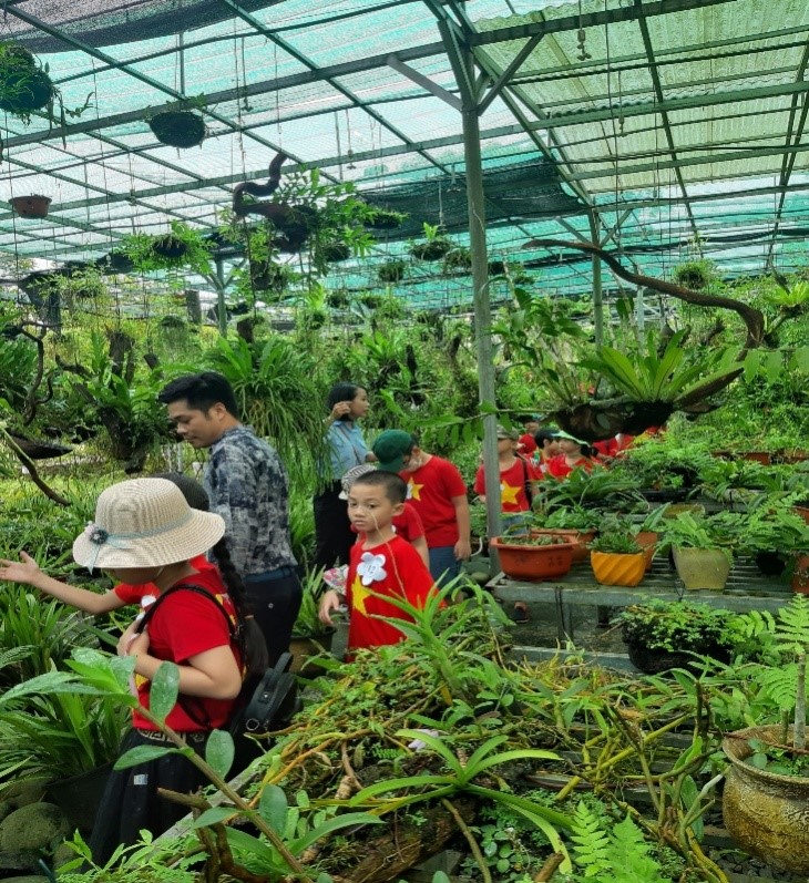 trải nghiệm 5