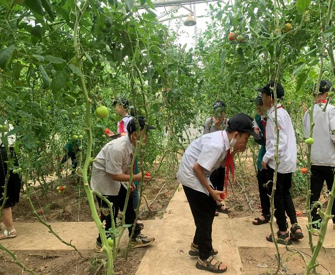 D:\2023\TRUNG TÂM CHUYỂN GIAO\HOẠT ĐỘNG TRẢI NGHIỆM 26.4\ẢNH CHọn viết bài\bf510ad488c2579c0ed3.jpg